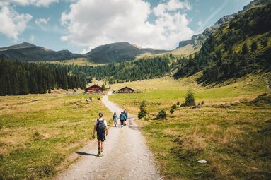 Wanderer auf einem Weg zu Almhütten, umgeben von grünen Wiesen und Bergen. | © Ferienregion Nationalpark Hohe Tauern - Gerald Demolsky