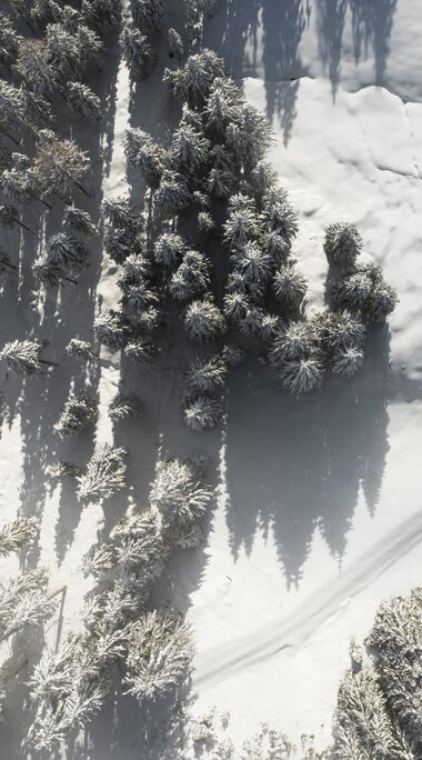 Aerial view of a snow-covered forest | © Holiday Region National Park Hohe Tauern - Innerhofer